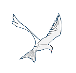 white tern logo